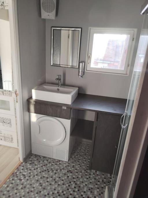 Charmant Appartement Cosy Selestat Bagian luar foto